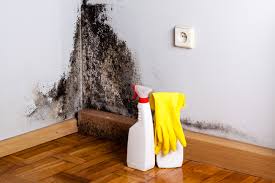  Sconsin Rapids, WI Mold Remediation Pros